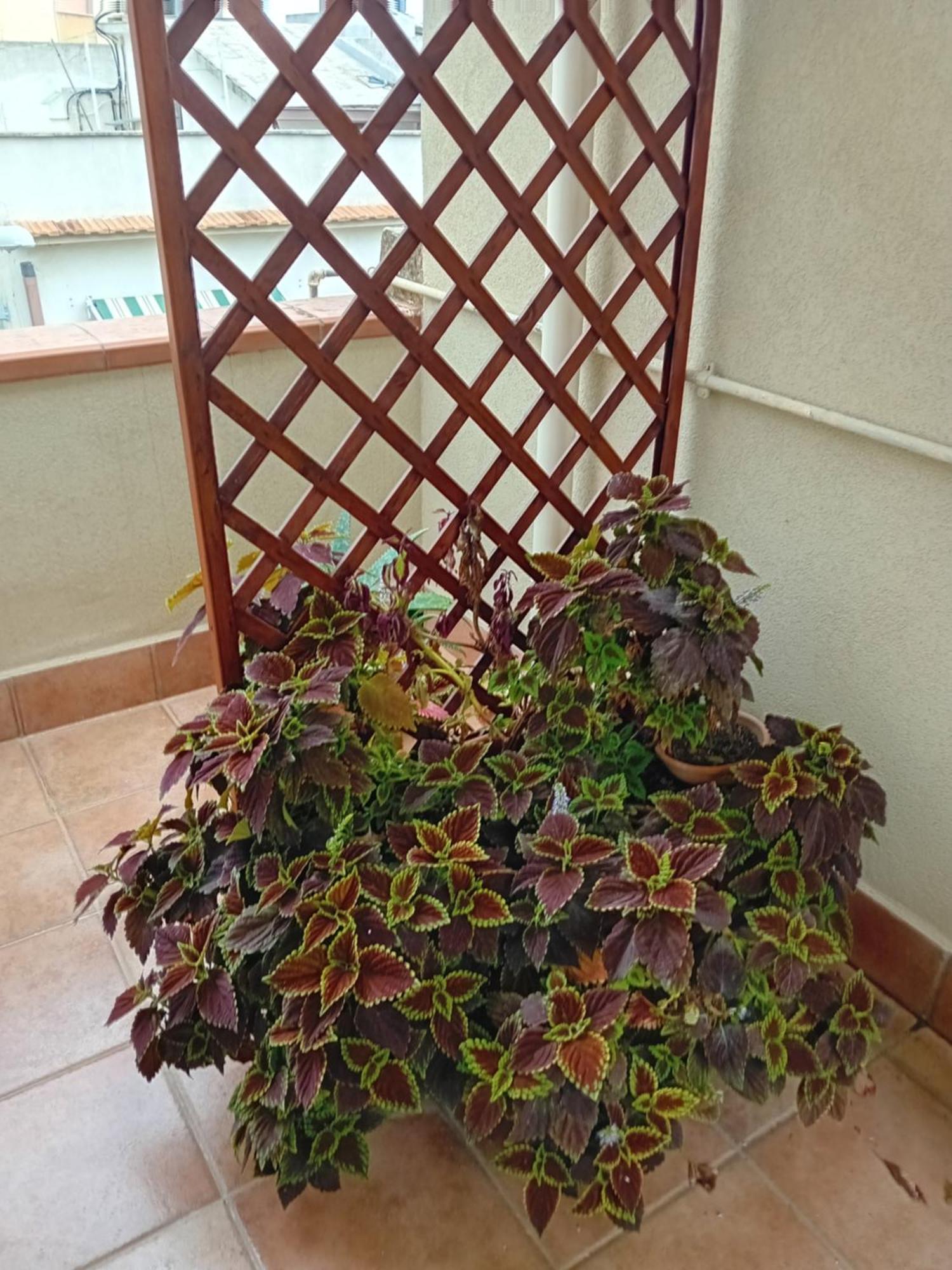 A Casa Tua Affitti Brevi Panzió Noto Szoba fotó