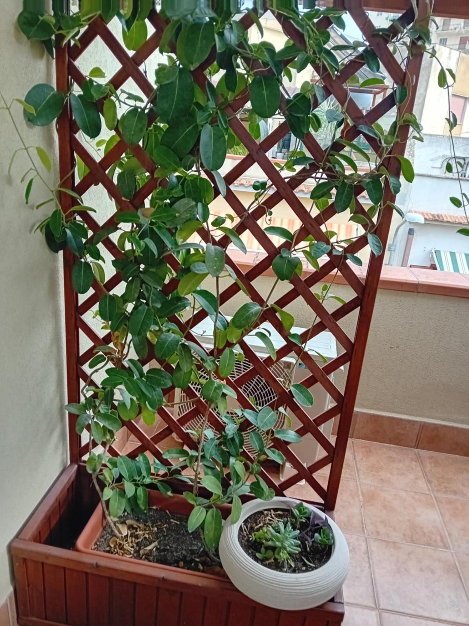 A Casa Tua Affitti Brevi Panzió Noto Szoba fotó